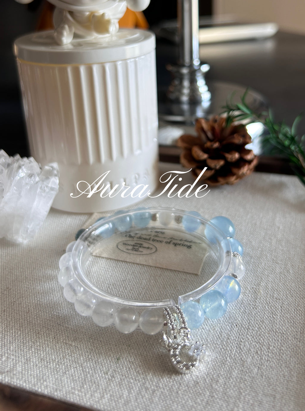 The Mermaid's Moonlight